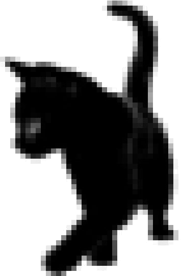 black cat